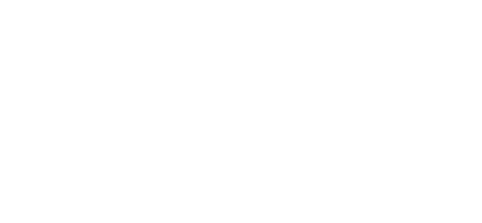 Izera Logo